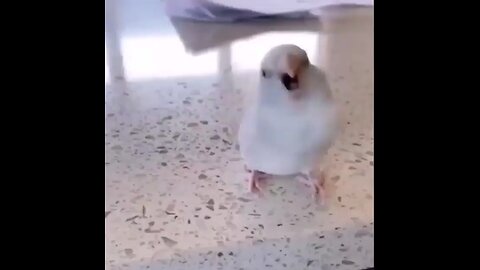 hmmm
