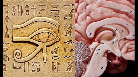 Pineal Gland -Spiritual Sense?, Gospel of John Chapter 17, Q Drops Deltas February 21 & 22 2/21 2/22