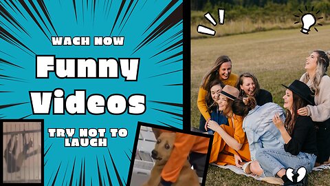 Funny Videos