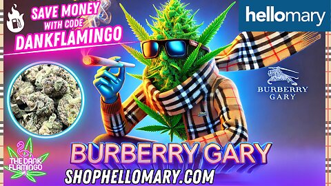 Relaxing with Burberry Gary from Shop Hello Mary! The Dank Flamingo Review!!