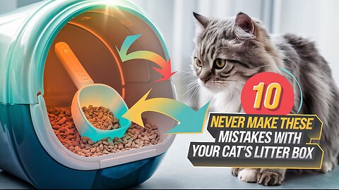 10 Never Make THESE MISTAKES with YOUR CAT'S LITTER BOX | Pets Guidelines