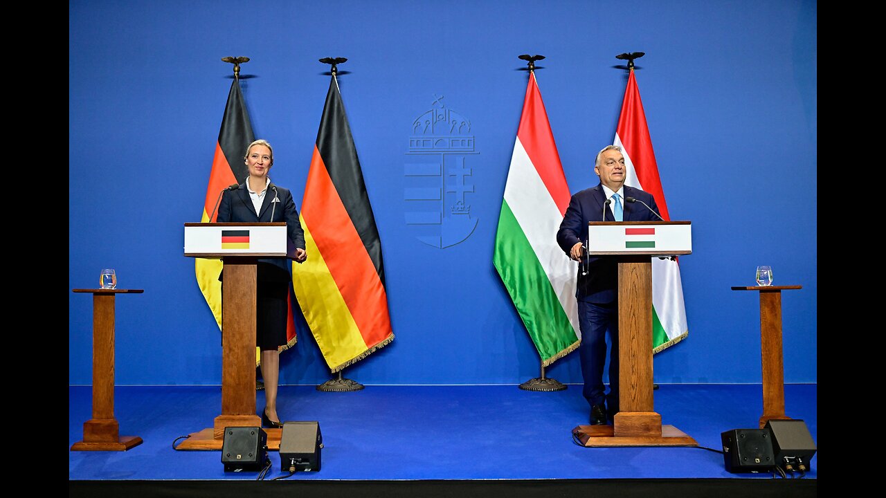 Germany Joins EU Mission at Rafah Border Amid Gaza Ceasefire Uncertainty