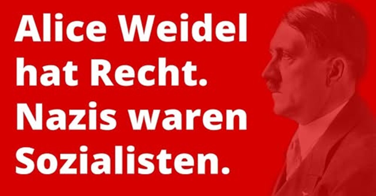 Alice Weidel (AfD) ➡️ Nazis waren Sozialisten / Kommunisten | Stimmt das?