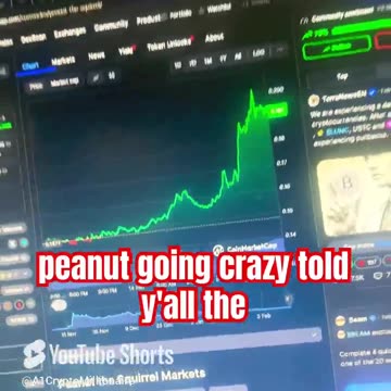 peanut the squirrel daily prediction crypto coin 29% #fyp