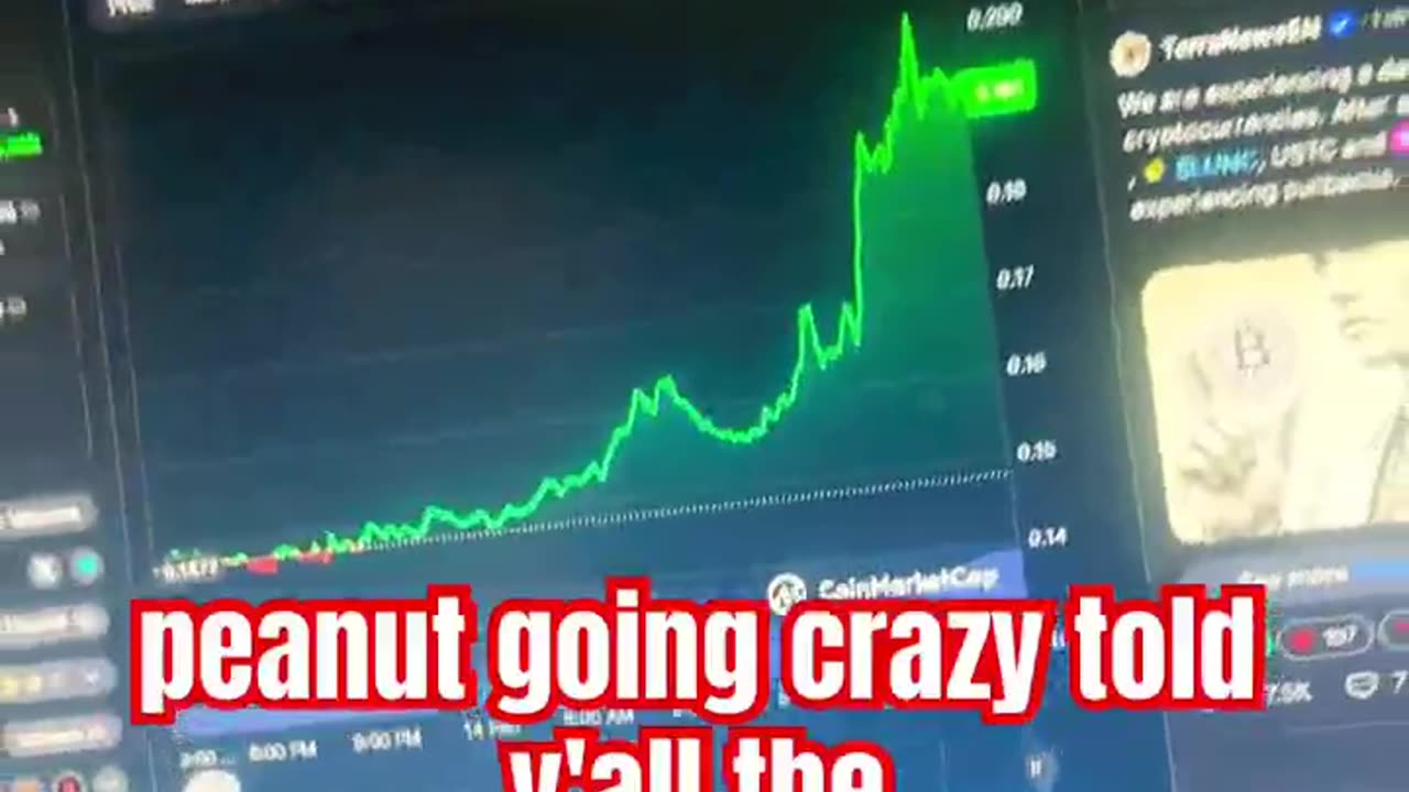 peanut the squirrel daily prediction crypto coin 29% #fyp