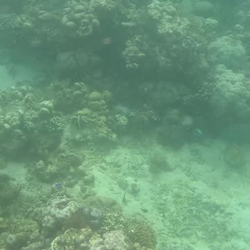 Snorkeling Morning!!
