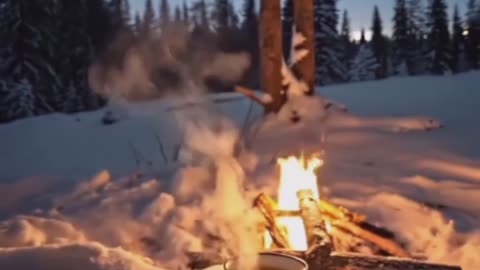 Winter Night by the Campfire.