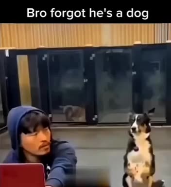 When you been secretly training 😂