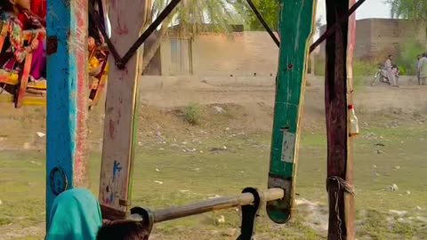 my village video #maxrecords #larkana #sindh #pakistan #villagelife #vlog