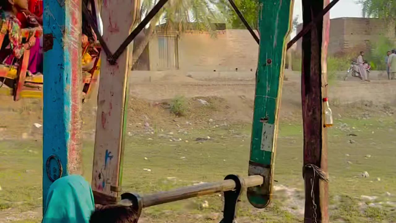 my village video #maxrecords #larkana #sindh #pakistan #villagelife #vlog