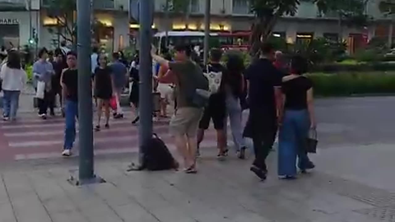 fatty demon pig - 2025 - YT - February 15th part 001