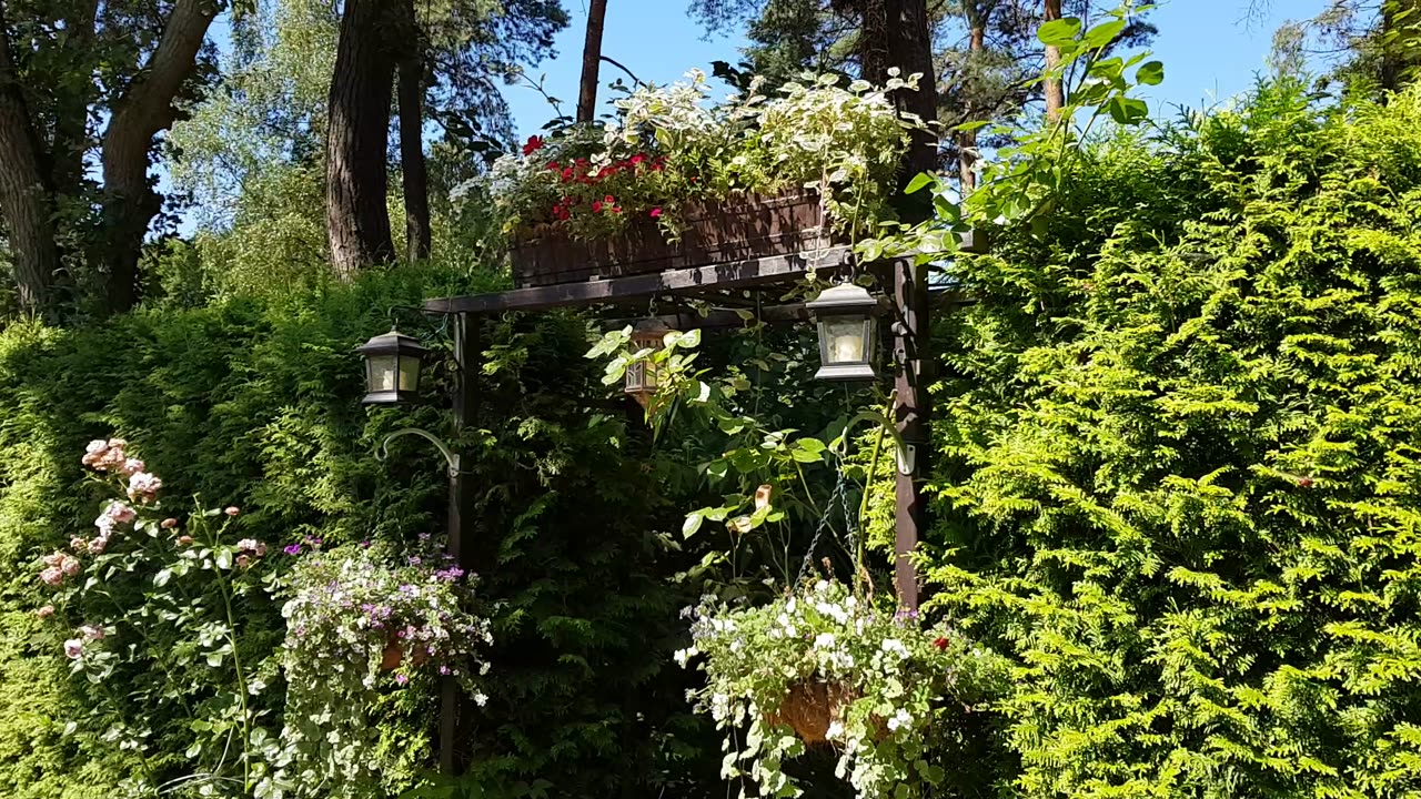 Garden and House