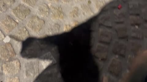 Me and my shadow with a splif.