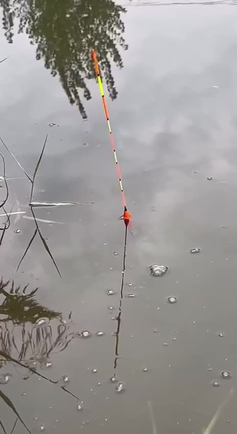 Thought This Was a Russian Crossing River(Actually Just an Ad for Group About Fishing Tips)