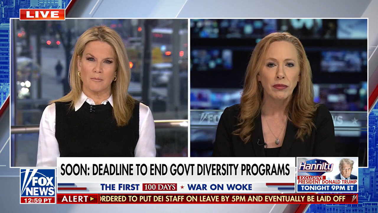 Kimberley Strassel: Number Of DEI Officials In Gov't Would Be 'Pretty Shocking' To Most Americans