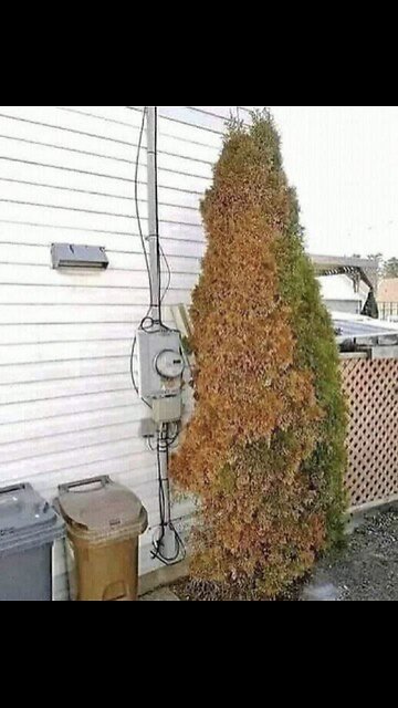 Do you have a smart meter? 🤔