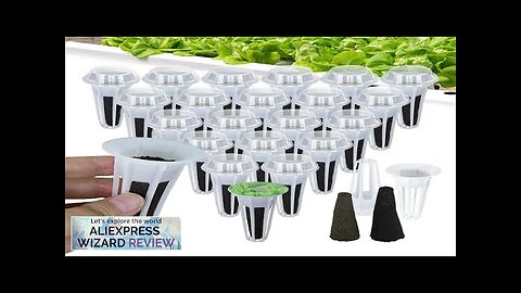 4.3x7.9cm Hydroponics Grow Baskets Kit for Garden Indoor Veggies Tomato Herbs Soilless Review