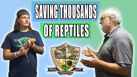 Visiting The Herps Alive Foundation!