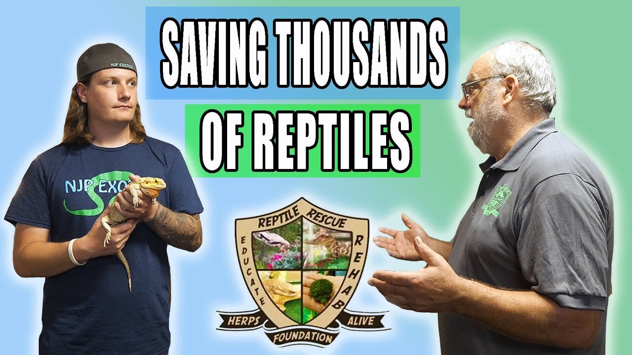 Visiting The Herps Alive Foundation!