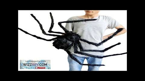 200cm Giant Halloween Spider DecorationLarge Outdoor Plush Spider DecorationsScary Huge Review