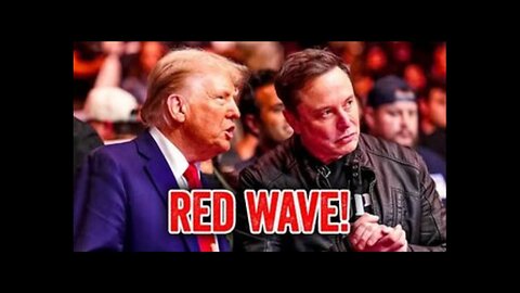 How Elon Musk Will Win The Midterms!!!