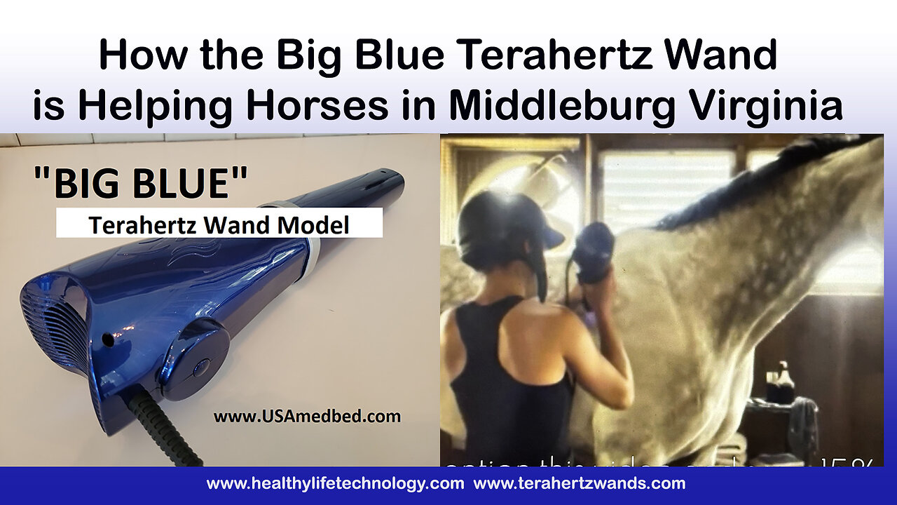 How the "Big Blue" Terahertz Wand is Helping Horses in Middleburg Virginia