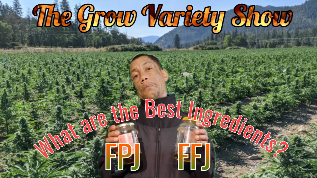 What are the Best Ingredients for FPJ's & FFJ's?