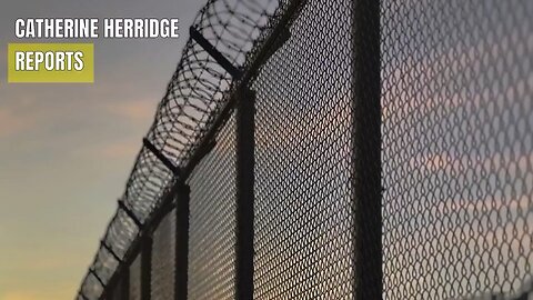 Herridge dropped another GITMO video.