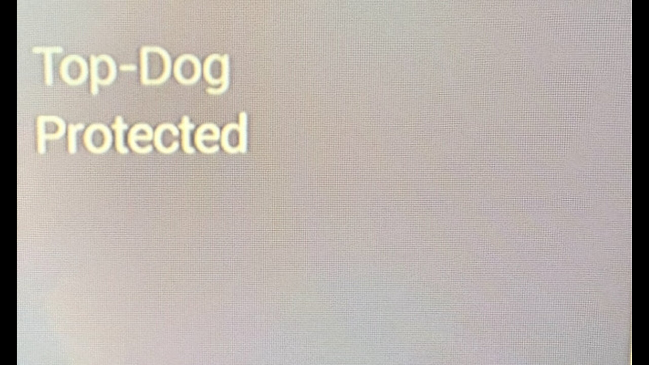 TOP DOG