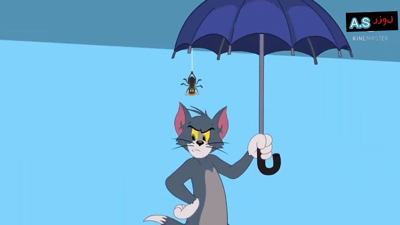 Tom and Jerry Funny video