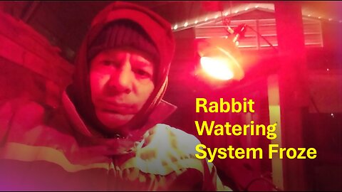 Rabbit Watering System Froze