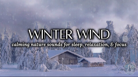 Winter Wind Ambience | Relaxing Nature Sounds for Sleep & Meditation