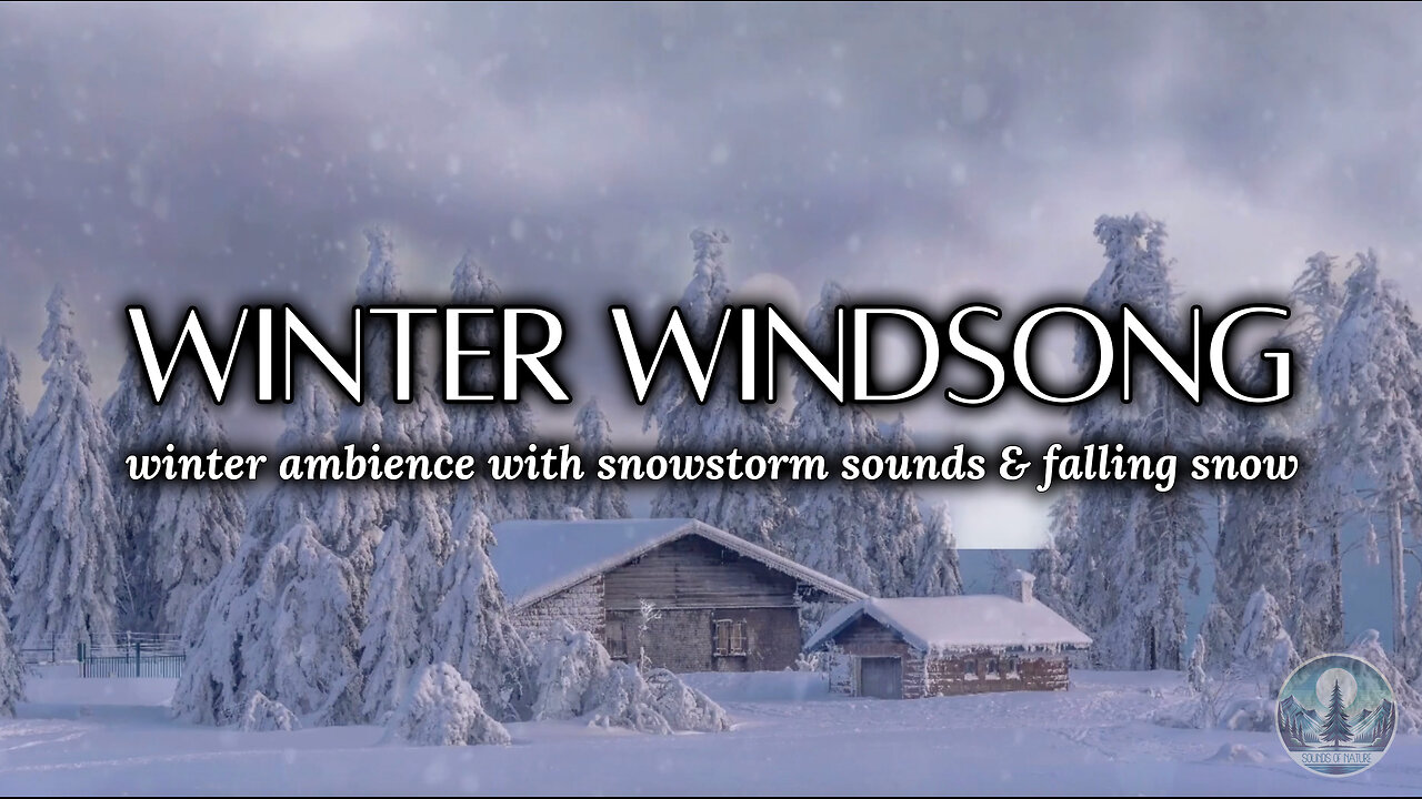 Winter Ambience with Wind Sounds & Falling Snow for Relaxation ❄️🌨️ | Sounds of Nature