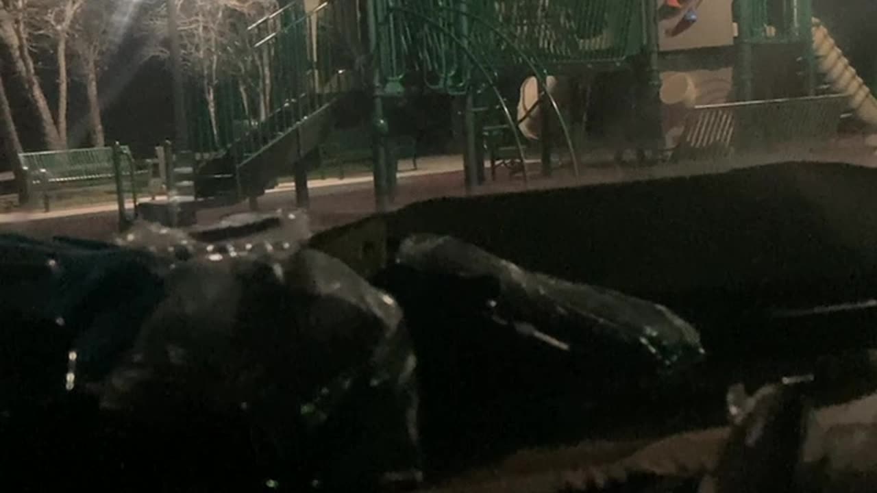 Pt10