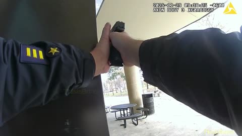 Body camera video shows shooting that killed Oak Park Detective Allan Reddins