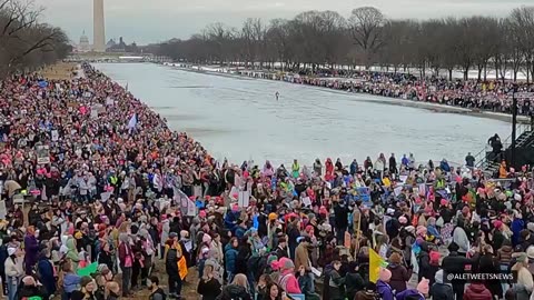 Anti-Trump demonstrators rallying near the Lincoln Memorial