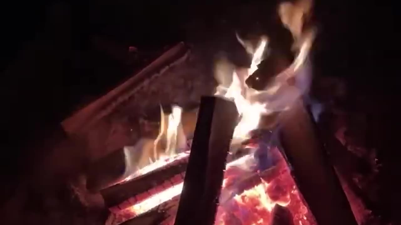 🔴 (LIVE) - Buy that Turkey! Cancel Christmas !