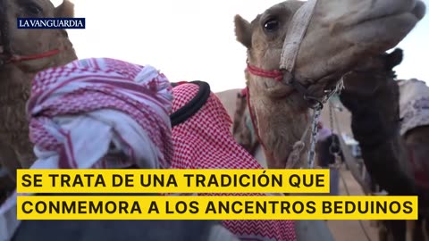 Así son las carreras de camellos más famosas de todo Egipto