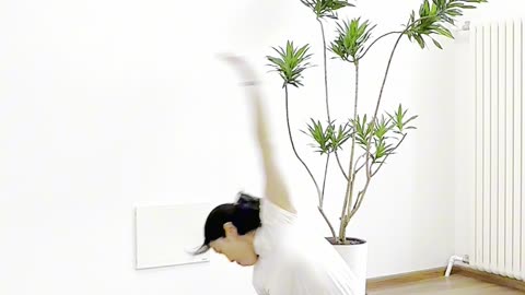 0024.一切運動項目終將退役，而身體的功能性不可剝奪