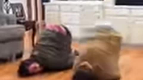 Epic Funny Video 😂😂😂 #shorts #viralshorts #comedy #funnymoments #fails #humor