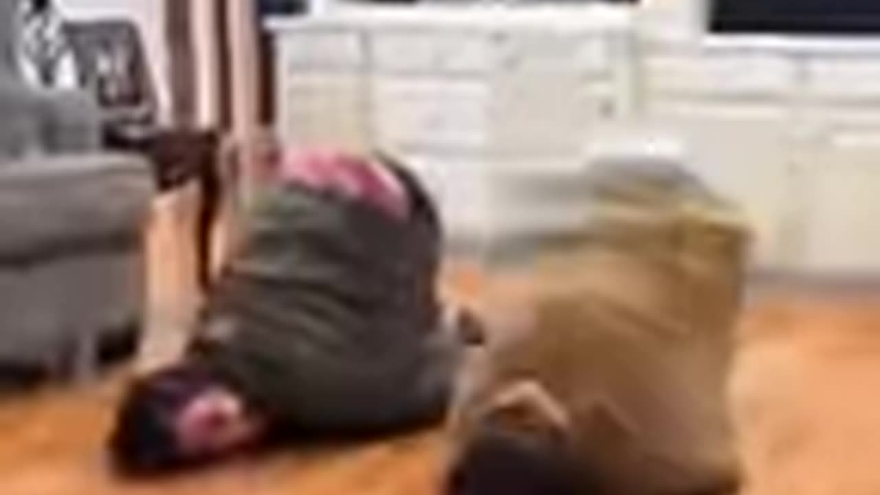 Epic Funny Video 😂😂😂 #shorts #viralshorts #comedy #funnymoments #fails #humor