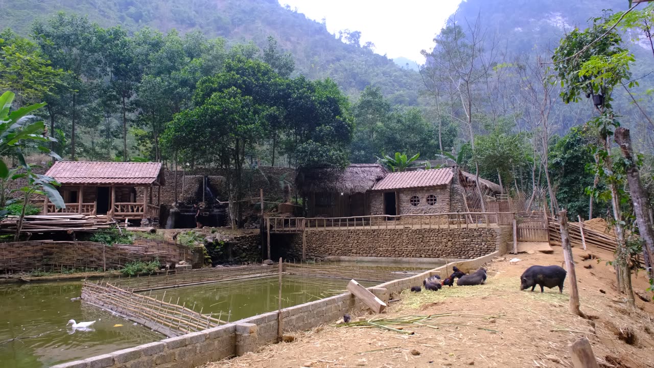 This Guy raising fish, pigs, chickens, ducks, vegetable growing | live the life millions dream of