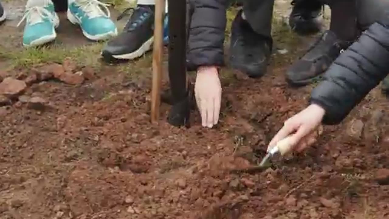 title in discription