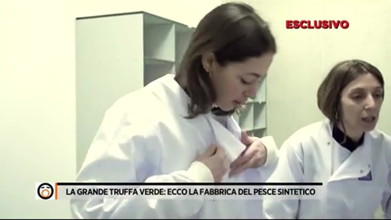 La grande truffa verde.