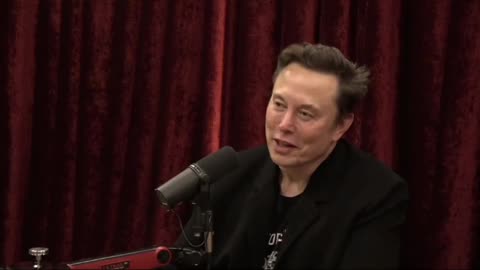 🚨NEW: Elon Musk Breaks Down What's Happening at the Treasury 💰