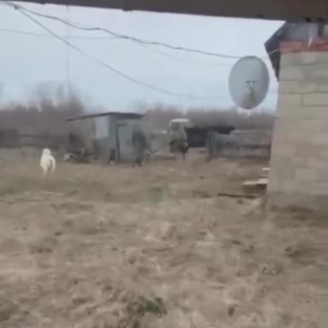 Russians Steal Goat and Chickens from Ethic Farmer Near Kursk