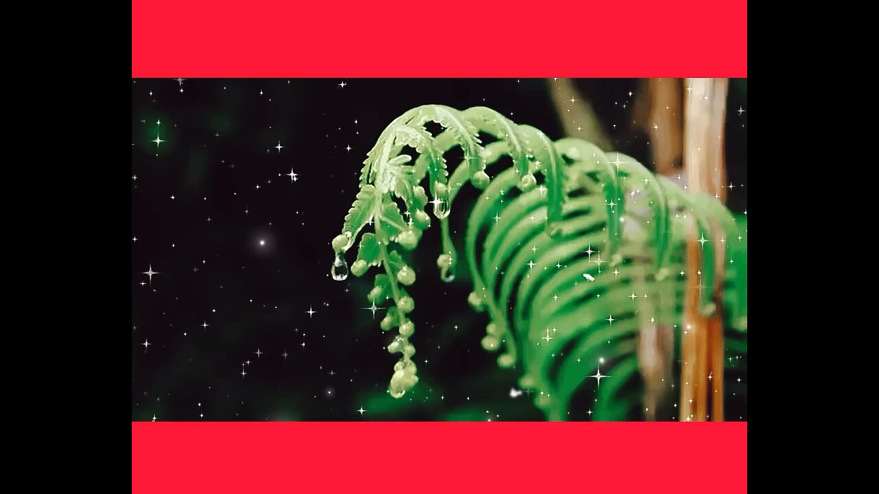 What is the company DXN about?