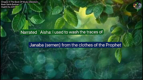 ❤️ Hadith 229 Explained: Washing Traces of Janaba (Semen), Sahih Bukhari,volume 4❤️02 2025