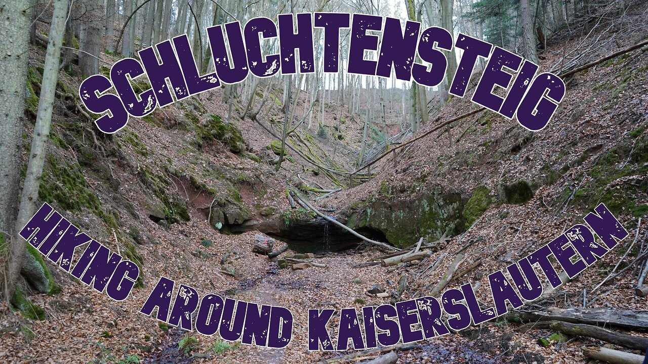 SCHLUCHTENSTEIG | Hiking Around Kaiserslautern Germany