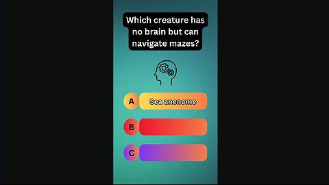 Which Creature Has No Brain But Can Navigate Mazes?